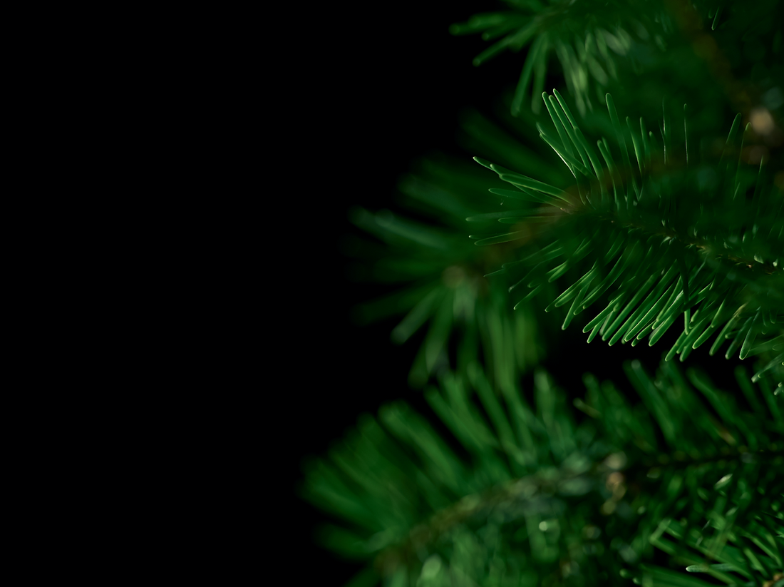 Hepple Three Pines